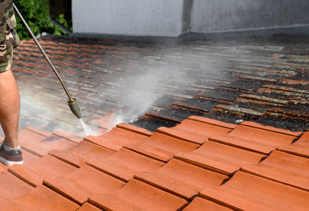 Best Local Pressure Washing Services  in Alexandria, KY