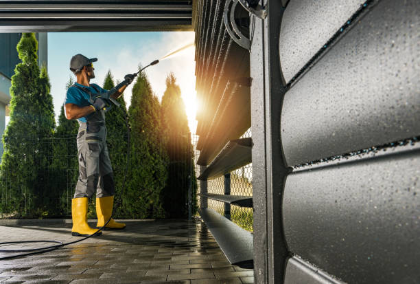 Best Pressure Washing Driveway  in Alexandria, KY