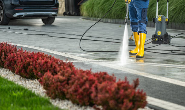 Best Roof Power Washing Services  in Alexandria, KY